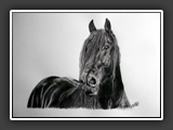 Friese Aquarell
