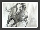 Galopp