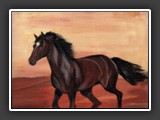 galoppierendes Pferd