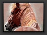 Pony