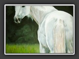 Schimmel in Acryl