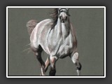 Schimmel Pastell 1