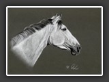 Schimmel Pastell 2