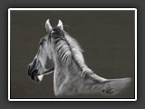 Schimmel Pastell 4